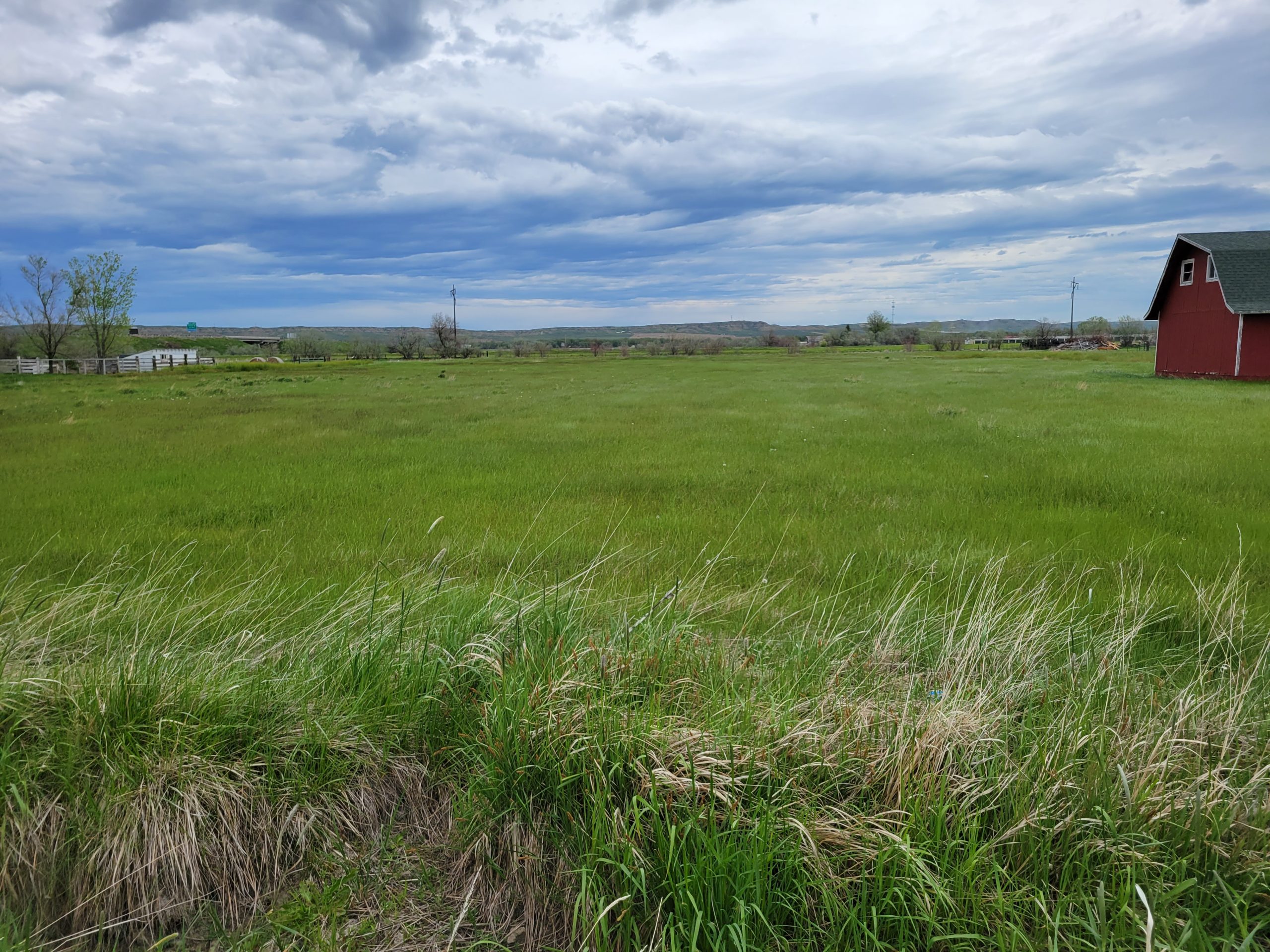 Copy of 20220527_113253